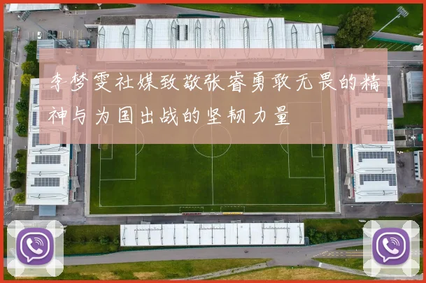 李梦雯社媒致敬张睿勇敢无畏的精神与为国出战的坚韧力量